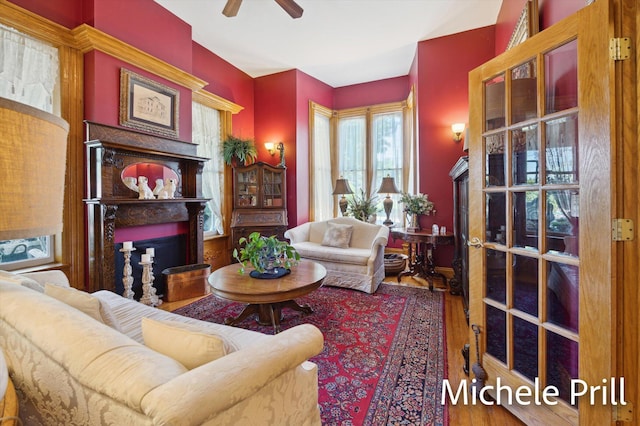 living room with ceiling fan and wood-type flooring