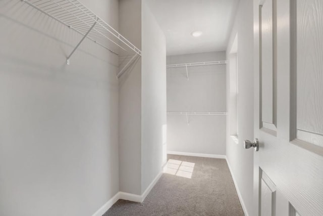 spacious closet with carpet floors