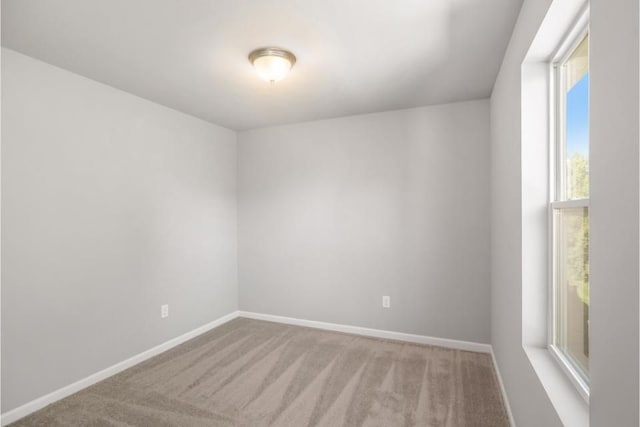 spare room with light carpet