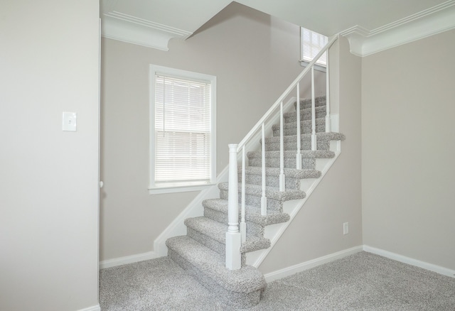 stairs with crown molding and carpet flooring