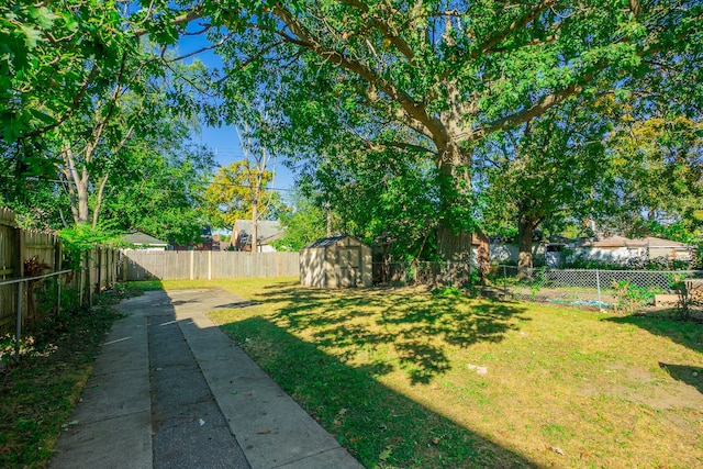 view of yard with a storage shed