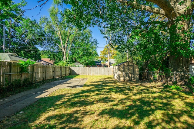 view of yard featuring a shed