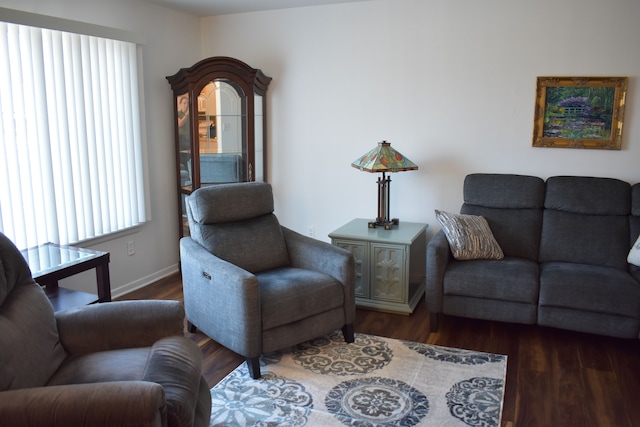 living room with dark hardwood / wood-style floors