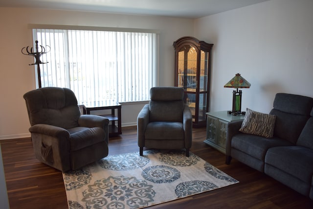 living room featuring dark hardwood / wood-style flooring