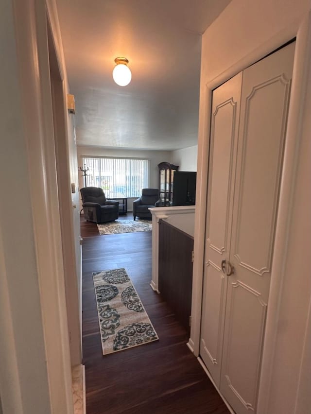 hallway with dark wood-type flooring