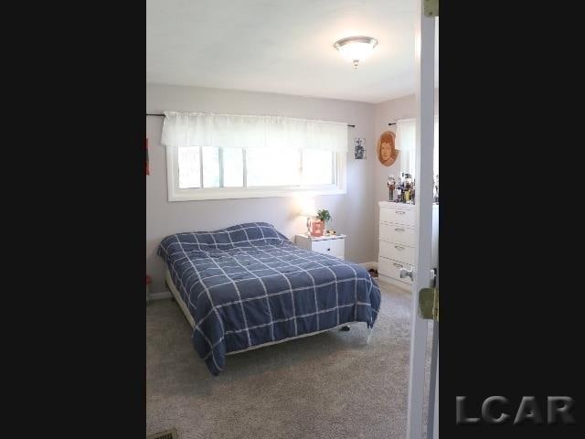 bedroom with carpet flooring