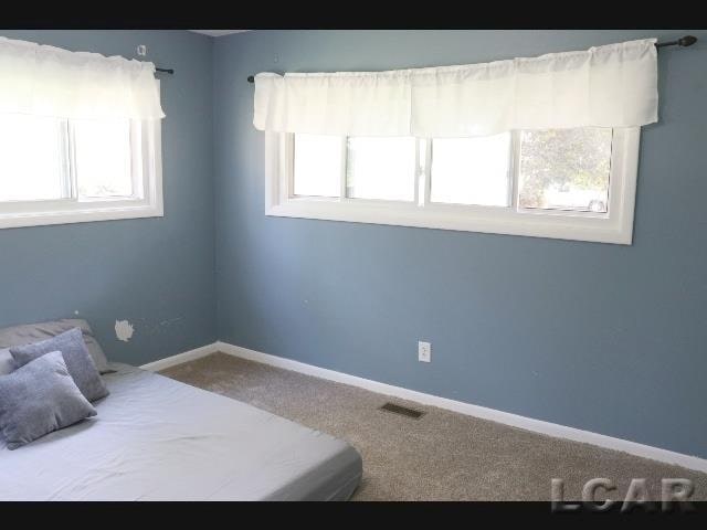 carpeted bedroom featuring multiple windows