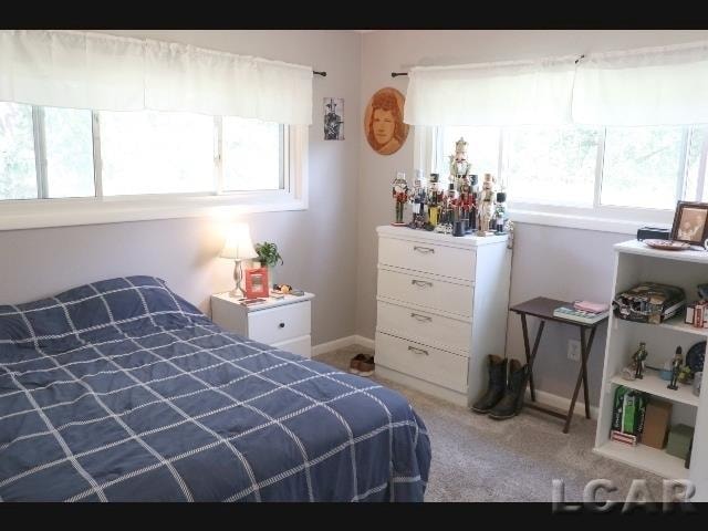 bedroom featuring light colored carpet and multiple windows