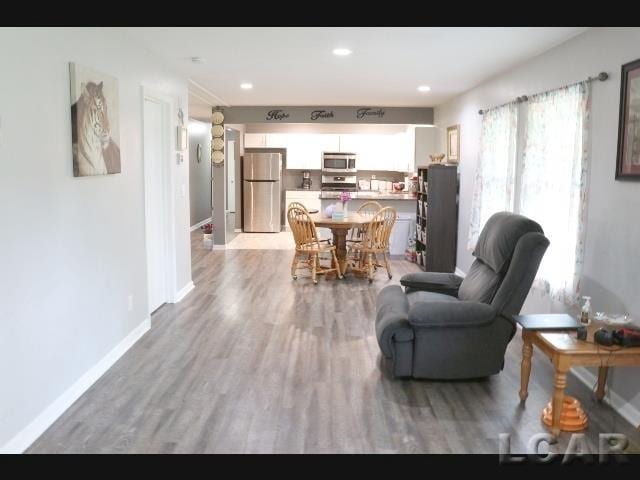 living room featuring light hardwood / wood-style flooring