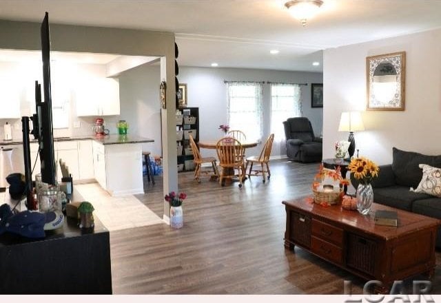 living room featuring light hardwood / wood-style floors