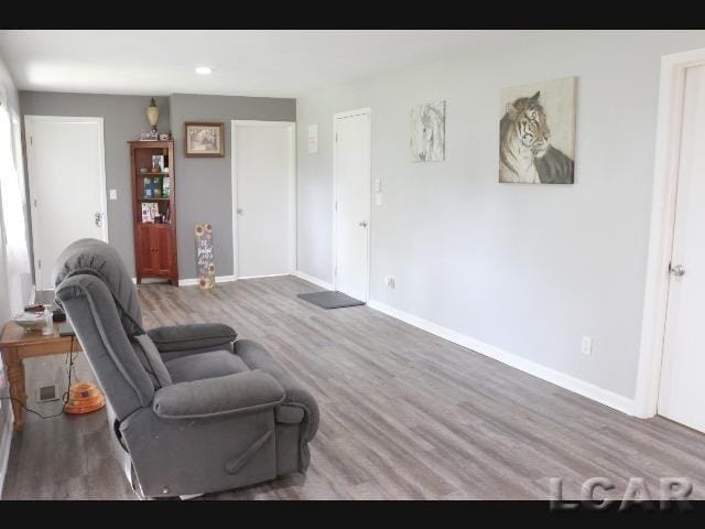 living room featuring hardwood / wood-style floors