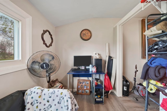 interior space featuring lofted ceiling, a wealth of natural light, and wood finished floors