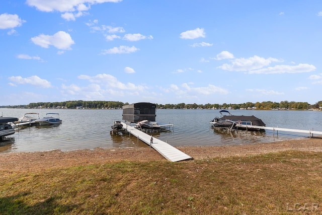 dock area with a water view