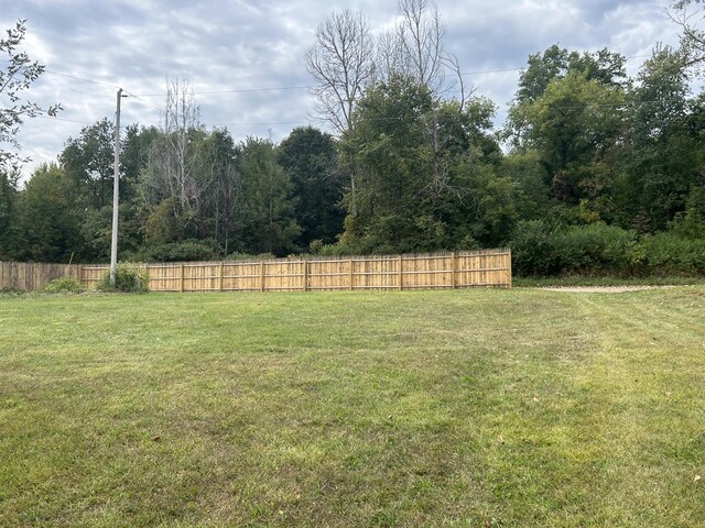 13664 Wabasis Ave NE, Cedar Springs, MI 49319 - view of yard