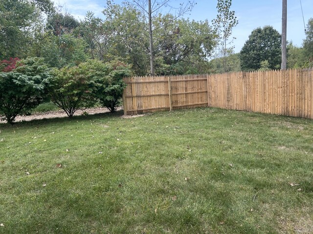 13664 Wabasis Ave NE, Cedar Springs, MI 49319 - view of yard