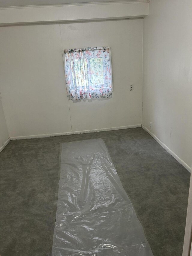 13664 Wabasis Ave NE, Cedar Springs, MI 49319 - unfurnished room featuring carpet flooring and baseboards