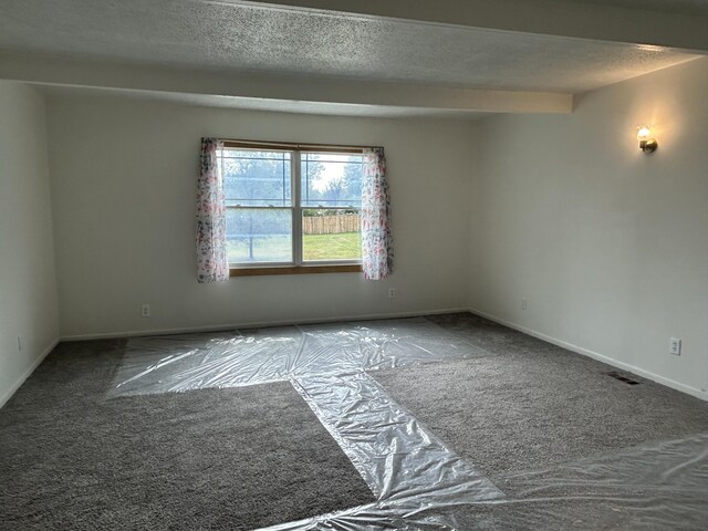 13664 Wabasis Ave NE, Cedar Springs, MI 49319 - carpeted spare room featuring a textured ceiling and baseboards