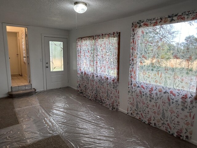 13664 Wabasis Ave NE, Cedar Springs, MI 49319 - entrance foyer featuring a textured ceiling and baseboards