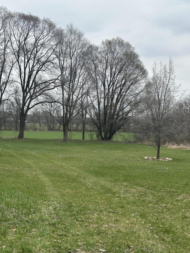 13664 Wabasis Ave NE, Cedar Springs, MI 49319 - view of green lawn