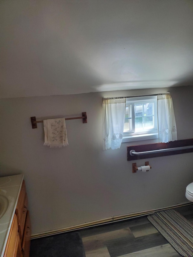 bathroom featuring hardwood / wood-style floors, vanity, and toilet