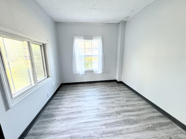 unfurnished room featuring a paneled ceiling and light wood-type flooring