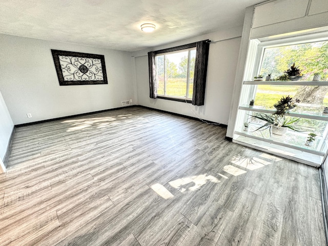 unfurnished room featuring light wood-type flooring and plenty of natural light