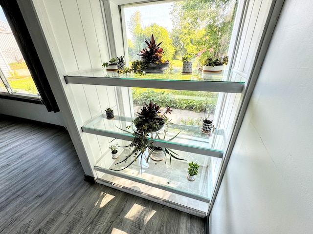 doorway to outside featuring dark hardwood / wood-style flooring