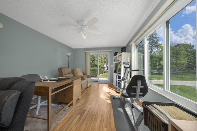 workout area with ceiling fan, a textured ceiling, and light hardwood / wood-style flooring