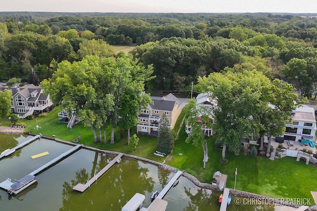 aerial view with a water view and a view of trees