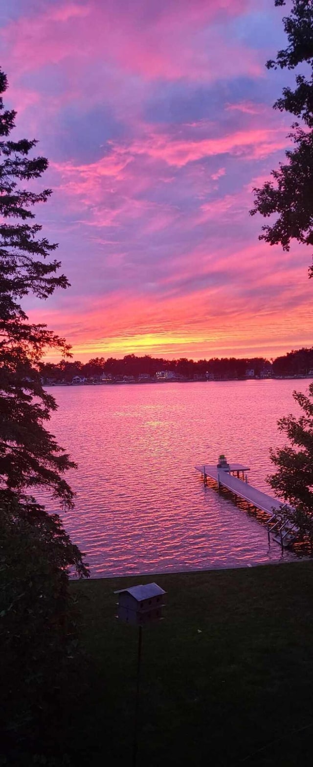 property view of water with a boat dock