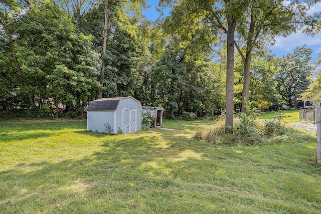 view of yard with a shed