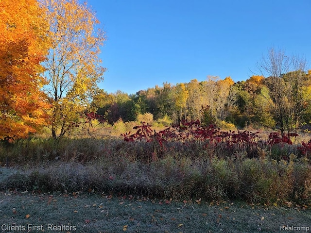 Sooten Rd, Manchester MI, 48158 land for sale