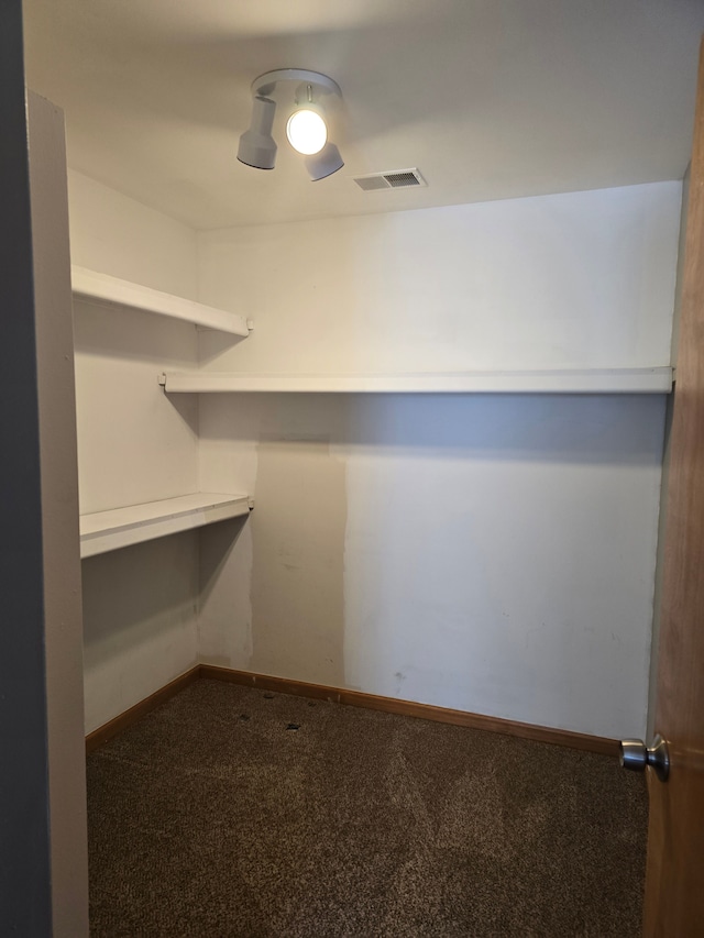 spacious closet featuring carpet flooring