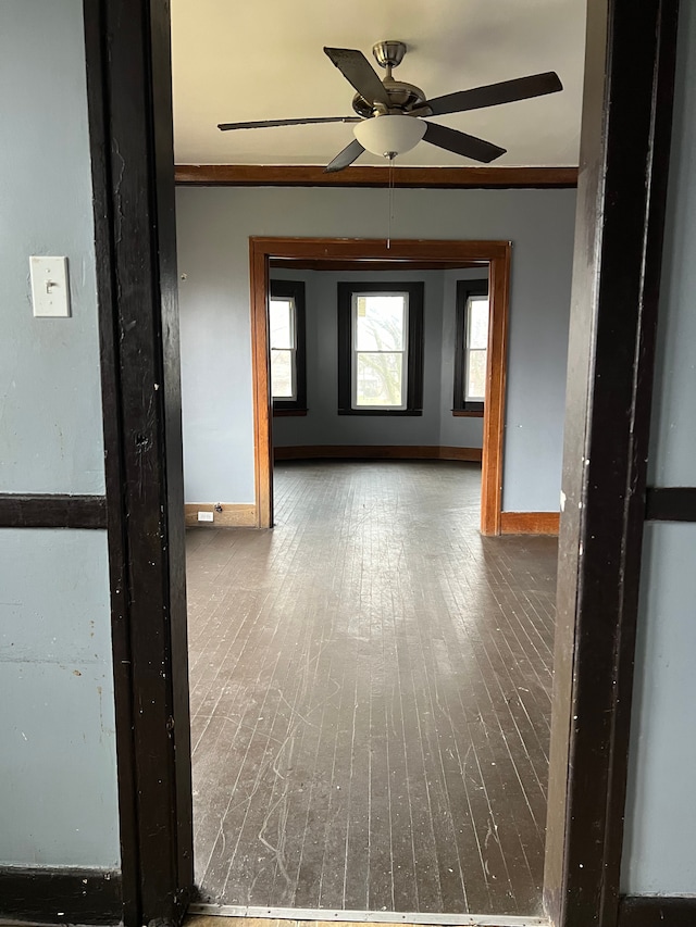 hallway with crown molding and wood-type flooring