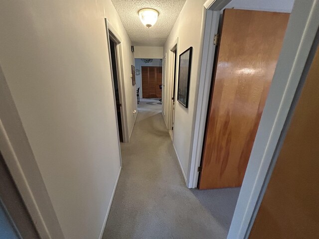2768 S M-88, Bellaire, MI 49615 - corridor with light colored carpet and a textured ceiling