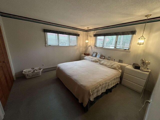 2768 S M-88, Bellaire, MI 49615 - carpeted bedroom featuring a textured ceiling, a baseboard radiator, and multiple windows