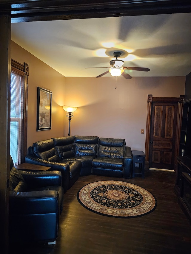 living room featuring ceiling fan and dark hardwood / wood-style flooring