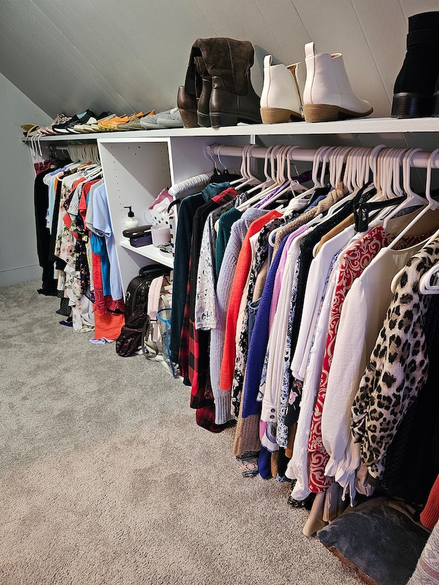 spacious closet featuring carpet flooring