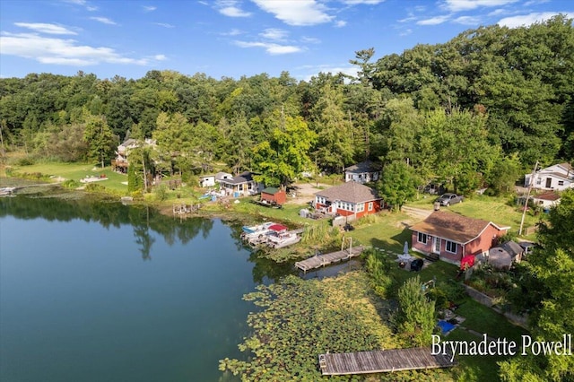 748 Kimberly Dr NE, Sparta, MI 49345 - bird's eye view of a nearby body of water and a forest