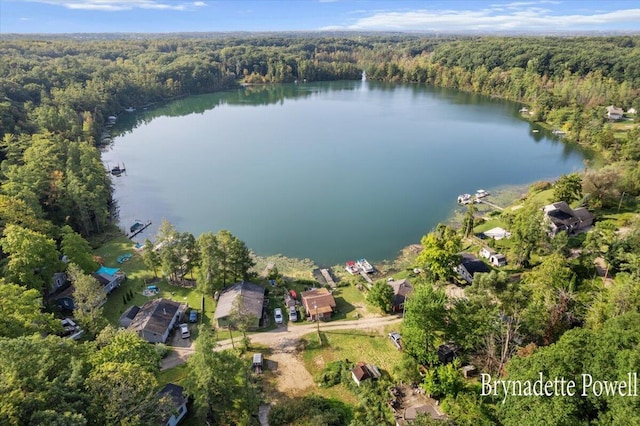 748 Kimberly Dr NE, Sparta, MI 49345 - aerial view of property and surrounding area with a forest and a nearby body of water