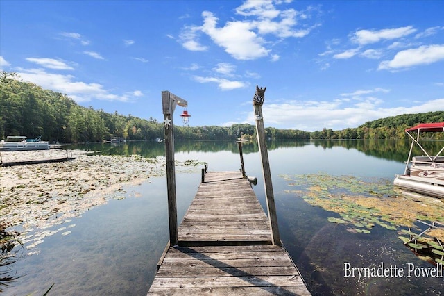 748 Kimberly Dr NE, Sparta, MI 49345 - dock area with a water view and a view of trees