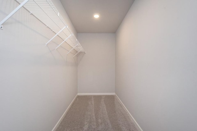 spacious closet featuring carpet flooring