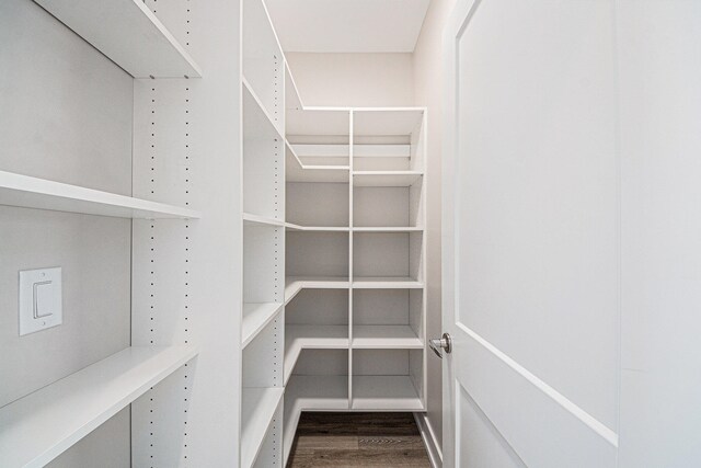 spacious closet with hardwood / wood-style flooring