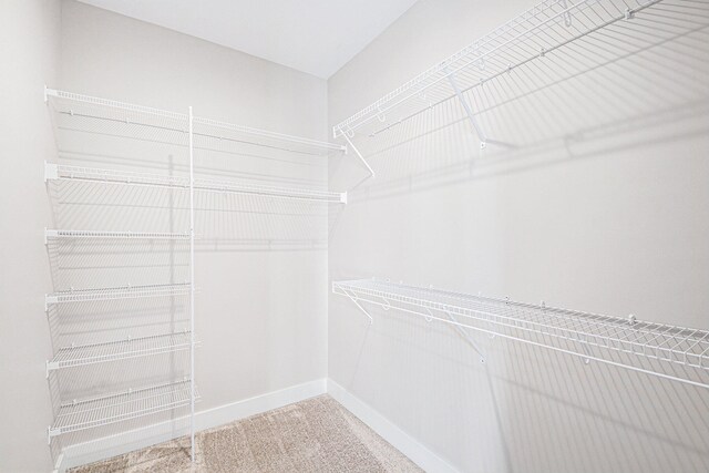 spacious closet featuring carpet floors