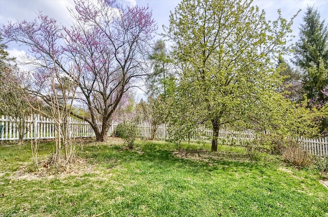 688 Uphill Rd, Milford, MI 48381 - photo 6