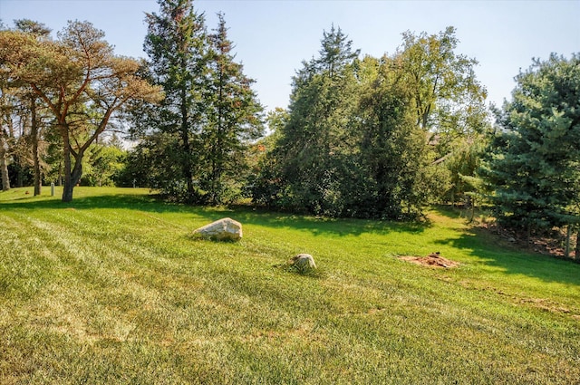 688 Uphill Rd, Milford, MI 48381 - photo 61