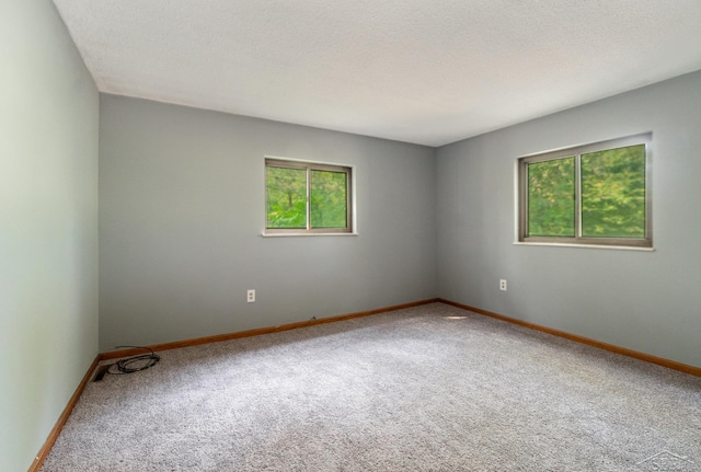 spare room featuring plenty of natural light, carpet floors, and a textured ceiling