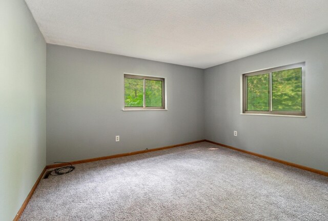5430 Tittabawassee Rd, Kochville, MI 48604 - empty room with carpet flooring and baseboards