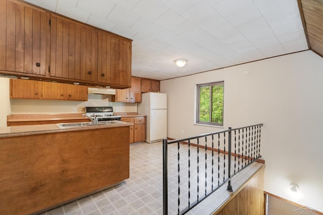 kitchen featuring stove, white fridge, extractor fan, and sink