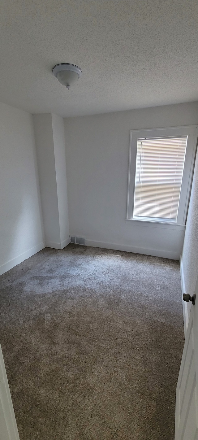 unfurnished room with carpet and a textured ceiling